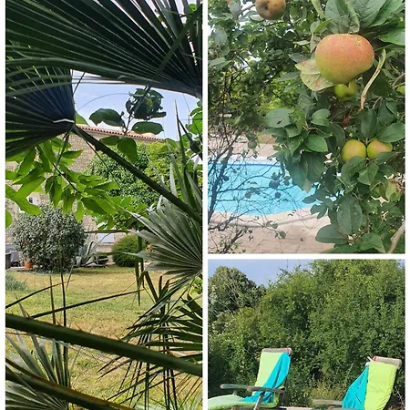 Bed and breakfast Le Jardin Des Bosquets