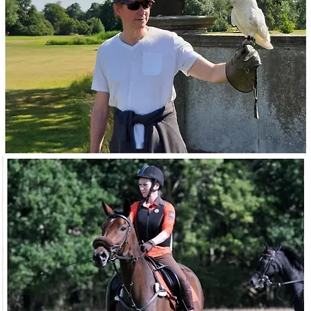 فندق مبيت وإفطار Le Jardin Des Bosquets 3*