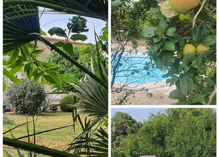 Bed & Breakfast Le Jardin Des Bosquets