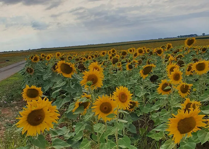 Le Jardin Des Bosquets Auchay-sur-Vendee