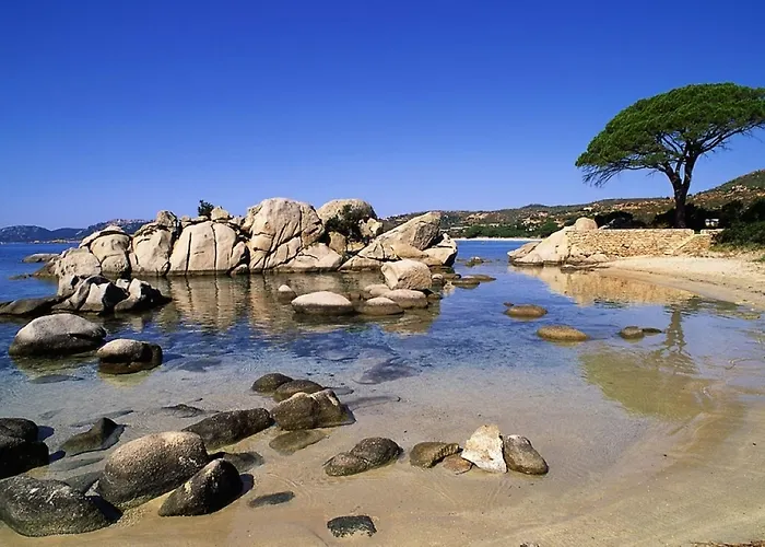 Bed & Breakfast Le Jardin Des Bosquets 3*